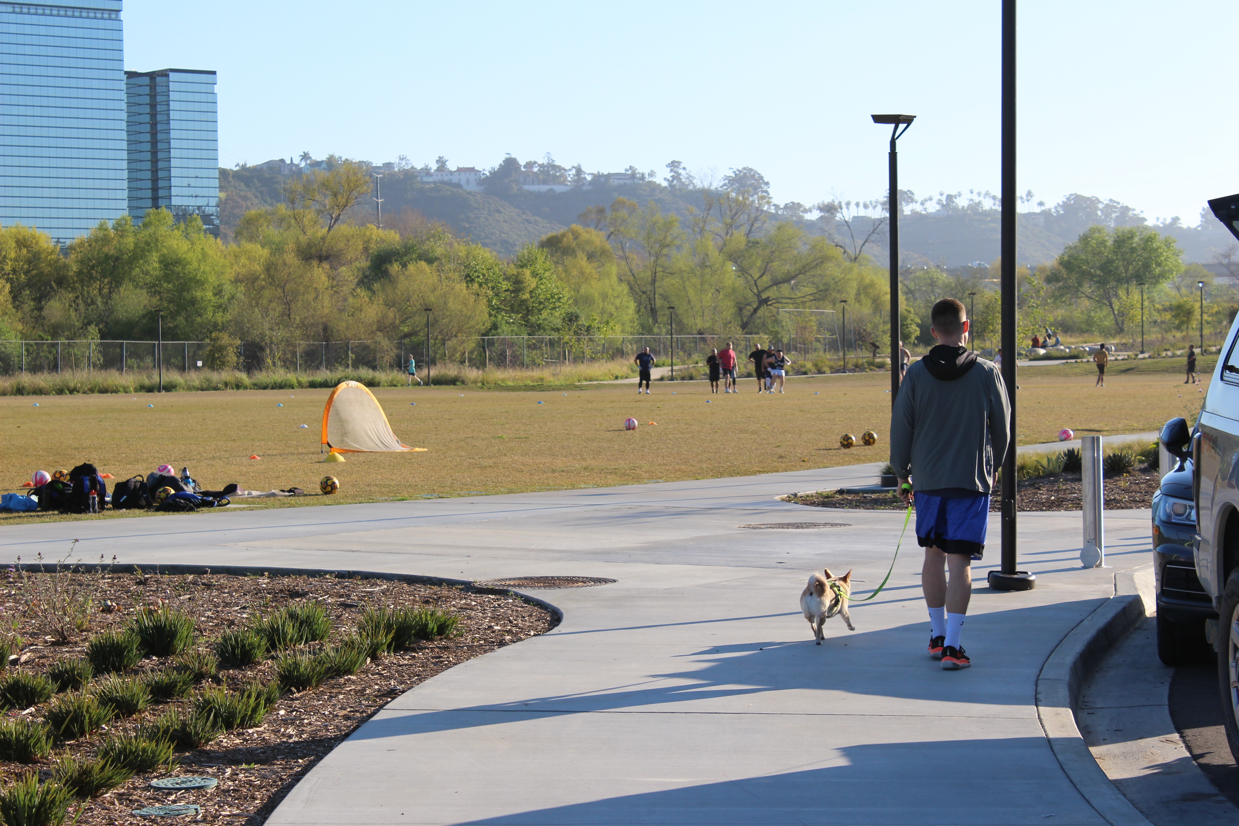 Park Dog Walk